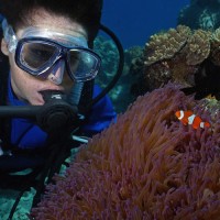 diving Great Barrier Reef