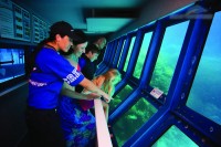 underwater observatory