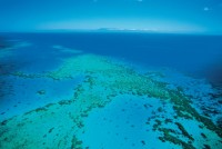 Nautilus Helicopters Cairns Reef Cruise Packages
