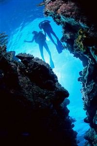 Deep Sea Divers Den Cairns PADI Dive Course
