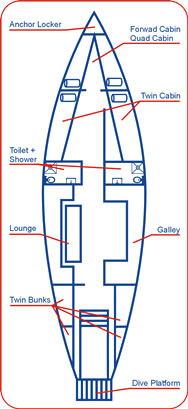 Rum Runner layout