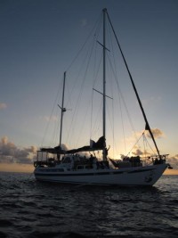 Coral Sea Dreaming