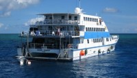 Deep Sea Divers Den Cairns PADI Dive Course