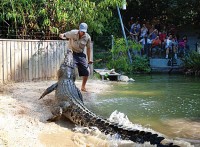 Hartleys Crocodile Adventures - Half Day Package