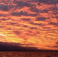 Sailaway - Sunset Cruise Port Douglas