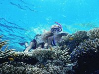 Down Under Dive Cairns Dive Course PADI