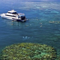 Reef Experience day trip