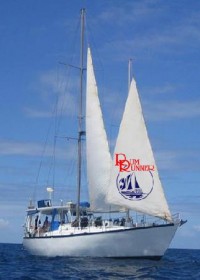 sailing boat Rum Runner Cairns