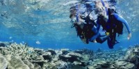Deep Sea Divers Den Dive Courses