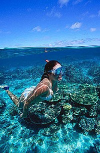 Snorkelling the Great Barrier Reef