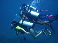 scuba diving Great Barrier Reef