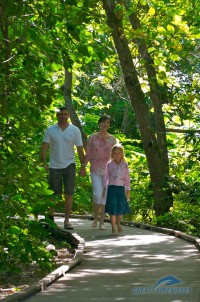 Green Island rainforest walk