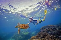 Reef Sprinter Low Isles