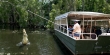 half day tours cairns