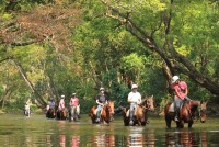 Mount-N-Ride Adventures - Horse Riding