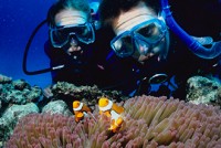 Deep Sea Divers Den Dive Courses