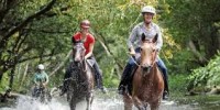 Mount-N-Ride Adventures - Horse Riding