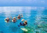 Down Under Dive Cairns Dive Course PADI