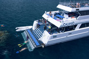 Calypso Dive and Snorkel Port Douglas Outer Reef Tour