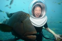 seawalker helmet diving cairns