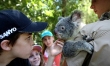 half day tours cairns