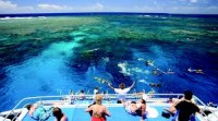 Calypso Dive and Snorkel Port Douglas Outer Reef Tour