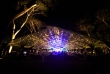 cairns night tours