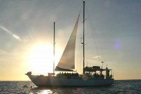 Rum Runner Cairns